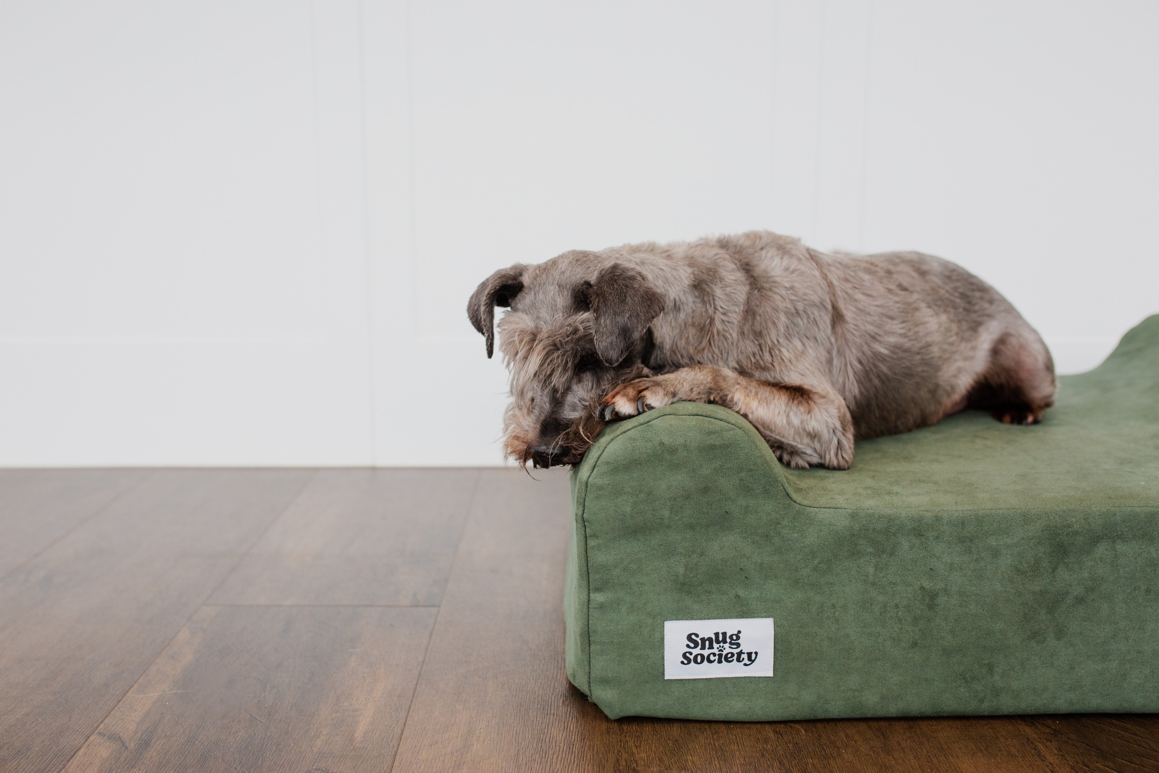 Old dog on the Snug Society orthopoedic Dog Bed