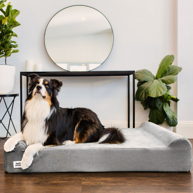 Snug Society Orthopaedic Dog Bed